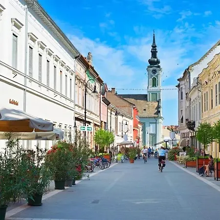 Vizparti Futrinka Vendeghazak * Baja